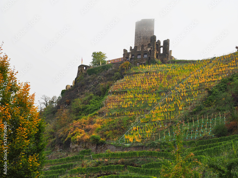 Burg Metternich bei Beilstein an der Mosel
im Herbst
