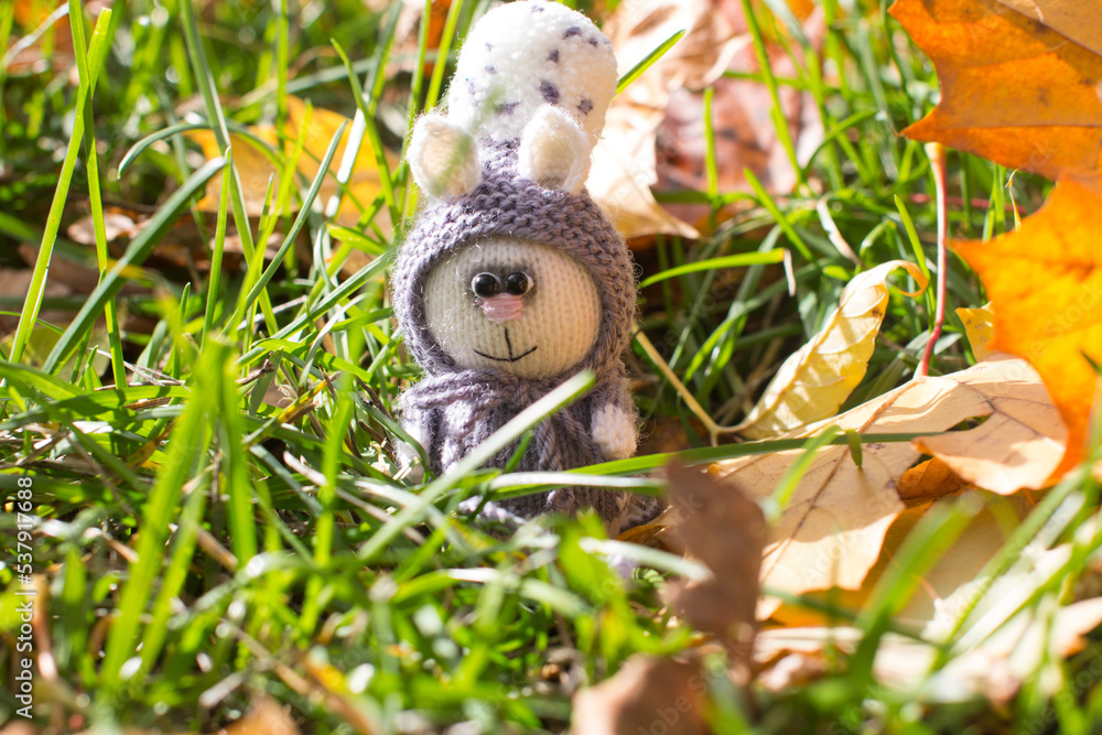 Obraz premium Autumn knitted kitten with knitting needles, on the road with yellow fallen leaves. Creative workshop on handmade needlework
