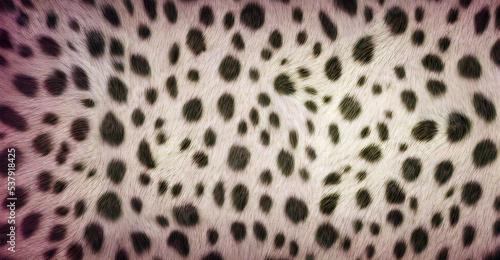Illustration Top View Animal Fur Leopard