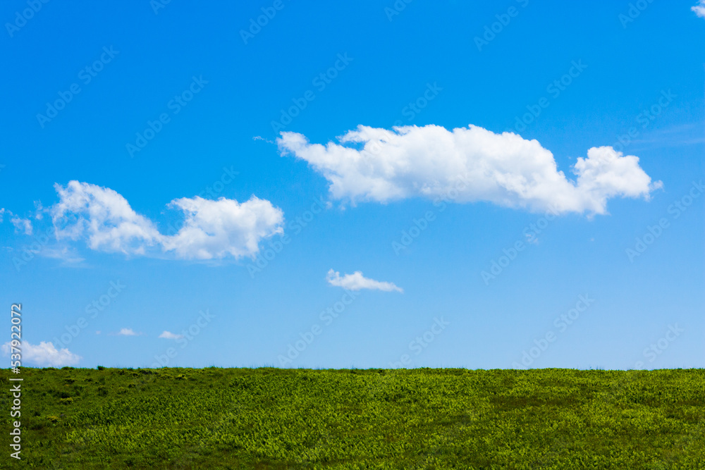 green field and blue sky green field and blue sky