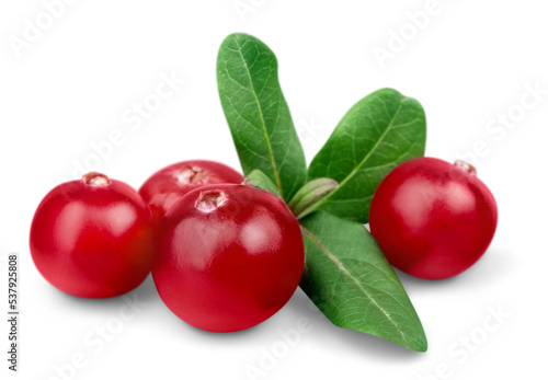 Red cranberries isolated on background