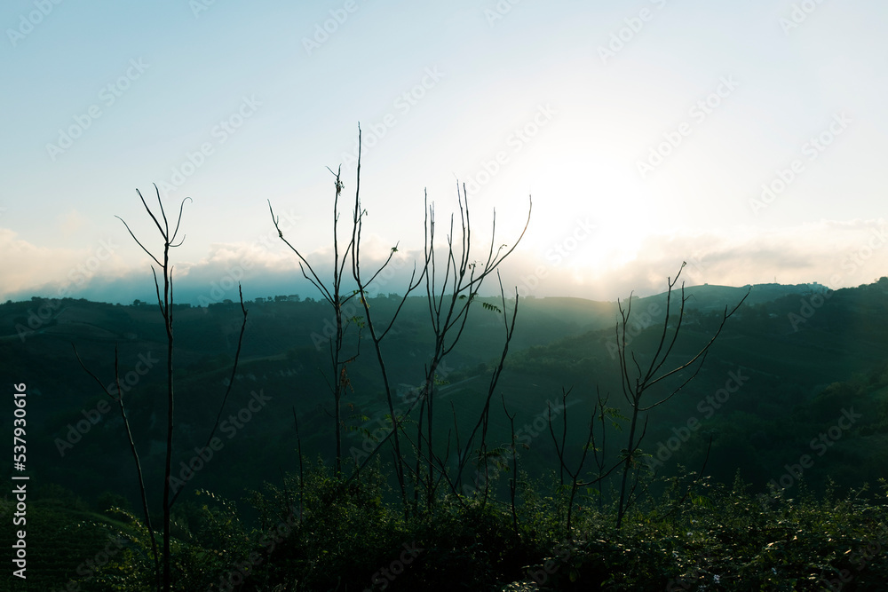 Foggy morning view in the countryside of Italy