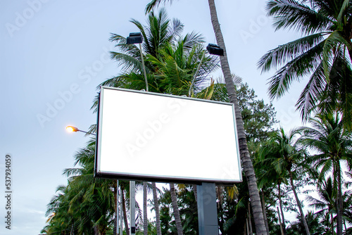 Roadside billboards on the beach with tons of coconuts in the background lights sky