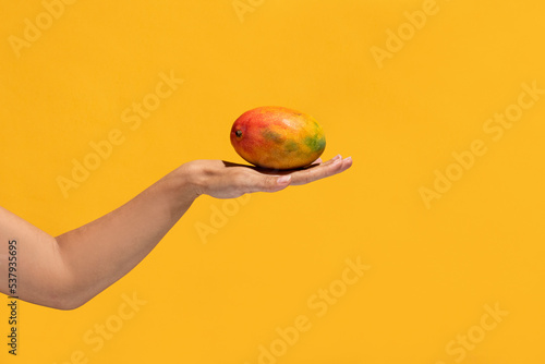 Mango in hand photo