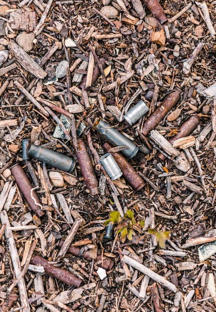 Rusty ammo casings on the ground