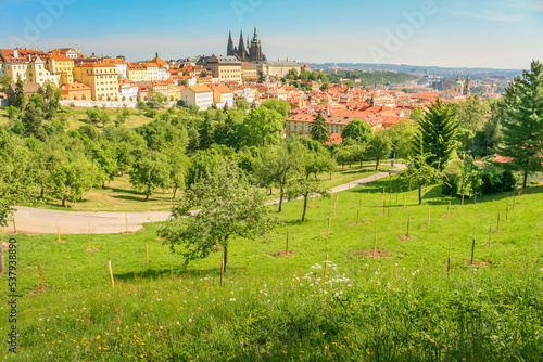 Prague cityscape and park with medieval gothic and baroque city  Czech Republic