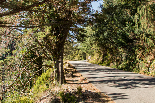 Serra do Geres  Norte de Portugal