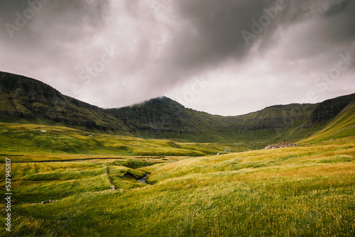 Green landscape under cloudy sky in Faroe Islands