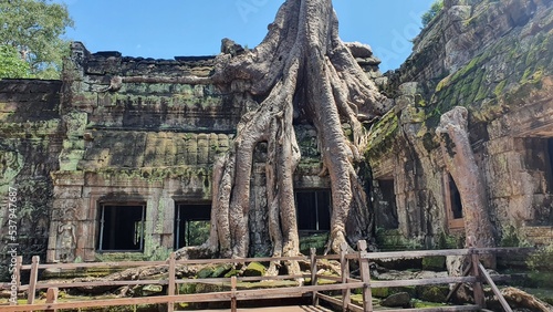 Ta Prohm is the modern name of the temple in Siem Reap  Cambodia  built in the Bayon style largely in the late 12th and early 13th centuries and originally called Rajavihara.