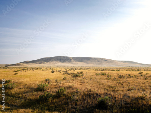 Native prairie grasslands in the summer.
