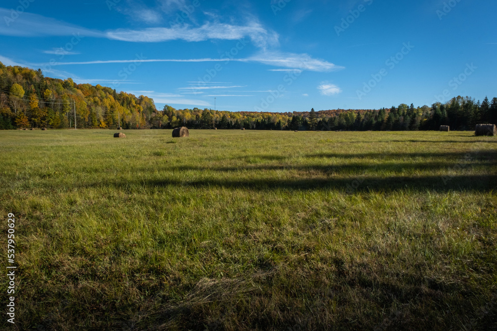 Fototapeta premium Wide angle Field with Hay bales with fall color trees on horizon