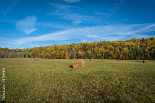 Wide angle Field with Hay bales with fall color trees on horizon