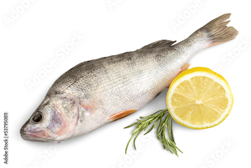 Photography Fresh fish isolated on white