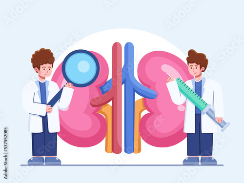 Doctors check and analyze health of kidneys and urinary system.
Kidney Health Awareness Illustration.
Nephrology vector illustration.
Checking Kidney Organ.
Suitable for landing page, web, banner, etc