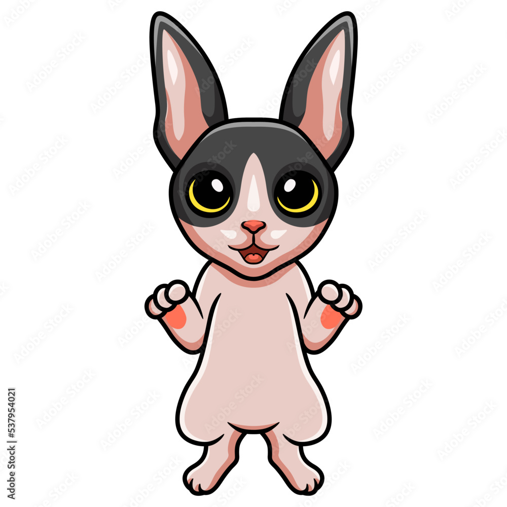 Cute cat cornish rex cartoon Cute cat cornish rex cartoon