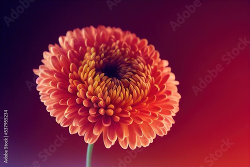 Macro photograph of a Chrysanthemum  Flower Photography  Made by AI  Artificial Intelligence
