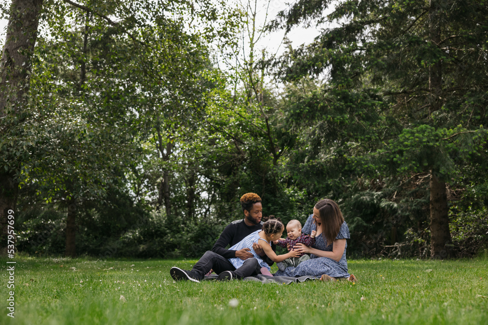 Young family on blanket together in the park. Young family on blanket together in the park.