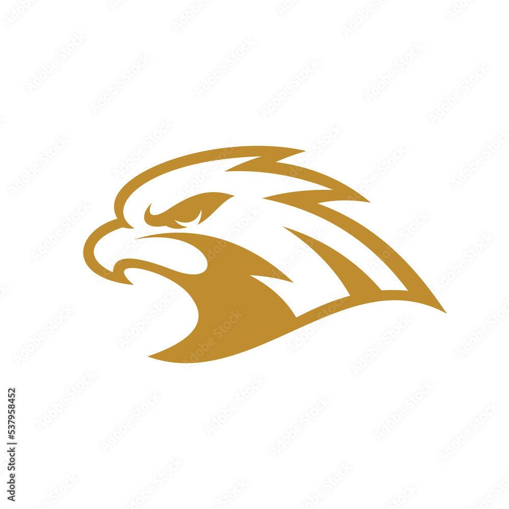 Fototapeta premium Bird eagle falcon or hawk head line art mascot logo design