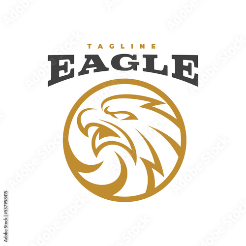 Bird eagle falcon or hawk head and circle line art mascot logo design