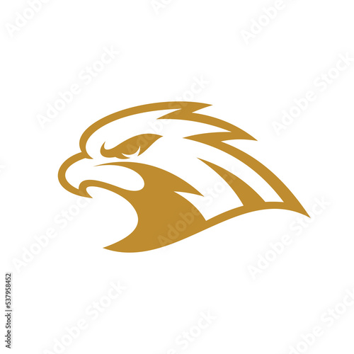 Bird eagle falcon or hawk head line art mascot logo design