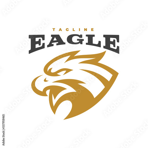 Bird eagle falcon or hawk head line art mascot logo design