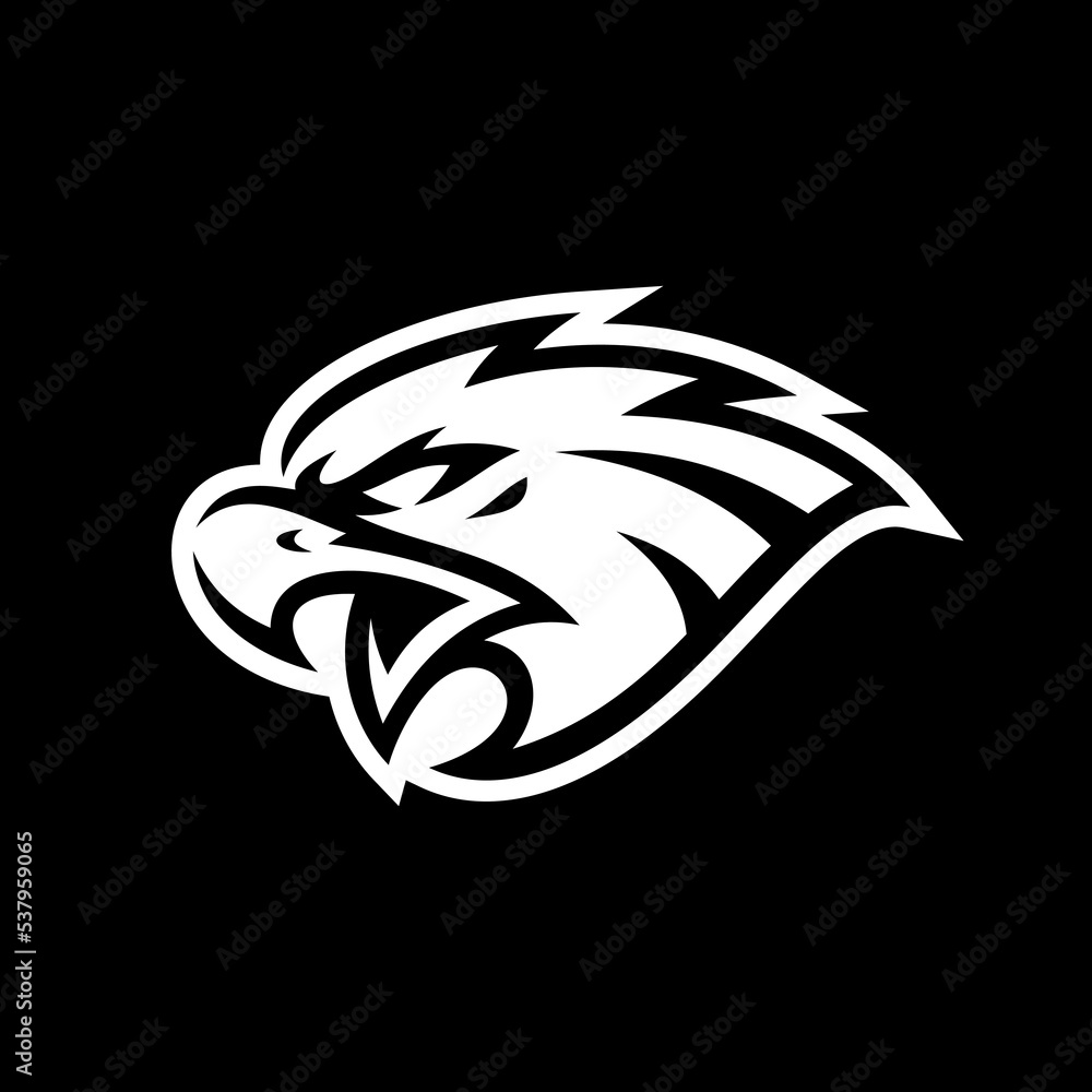 Bird, eagle, falcon or hawk head mascot logo design on dark background Bird, eagle, falcon or hawk head mascot logo design on dark background