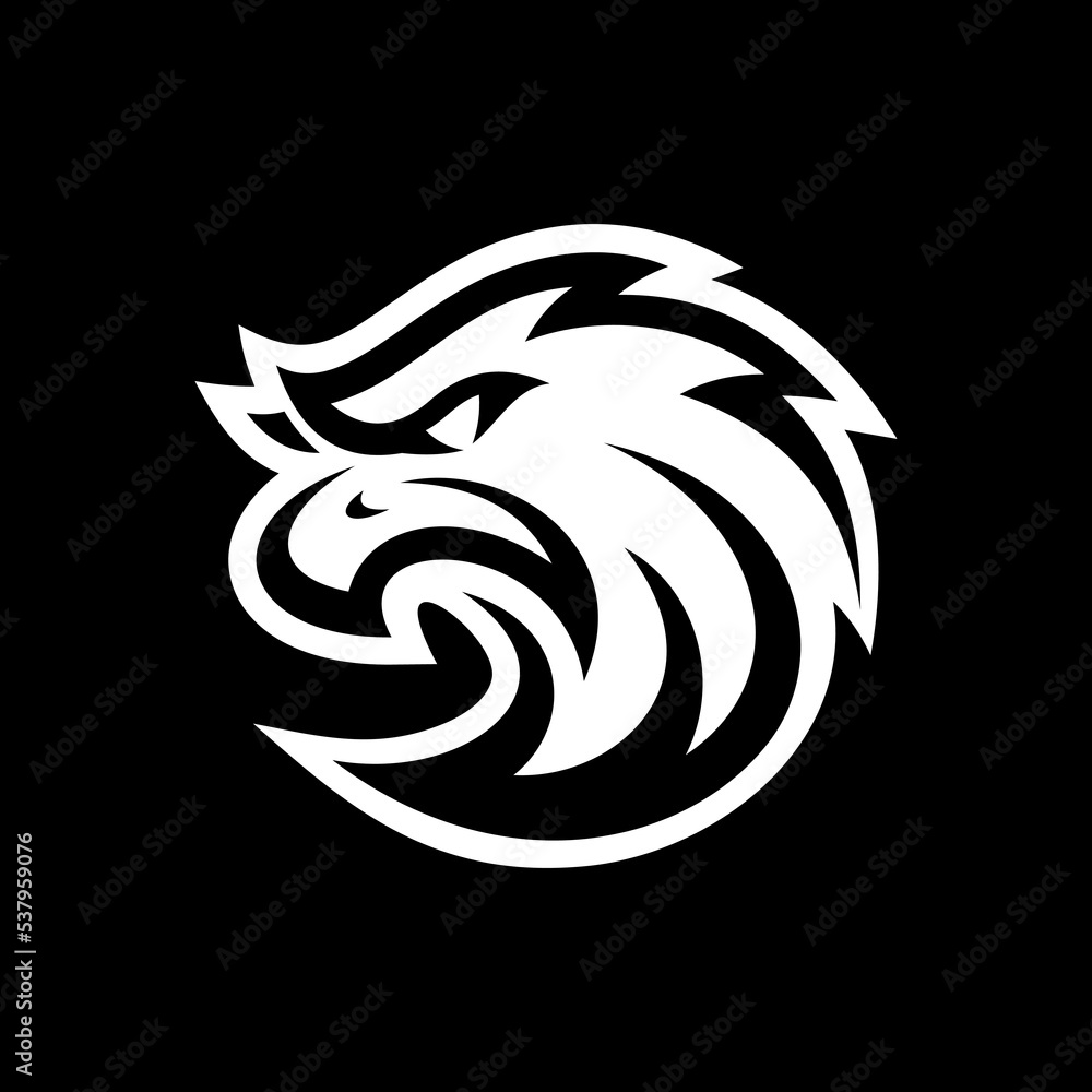 Bird, eagle, falcon or hawk head mascot logo design on dark background Bird, eagle, falcon or hawk head mascot logo design on dark background