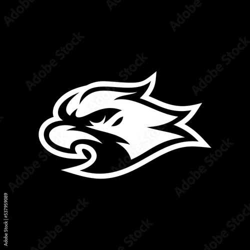 Bird, eagle, falcon or hawk head mascot logo design on dark background