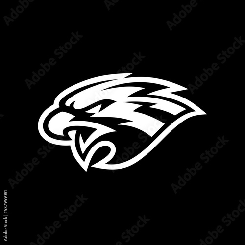 Bird, eagle, falcon or hawk head mascot logo design on dark background