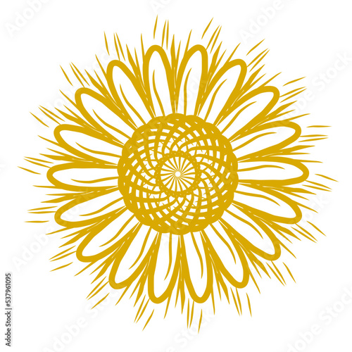 Template for laser cutting wall clock. Vector maket
