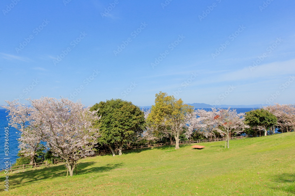 Fototapeta premium 海沿いの公園