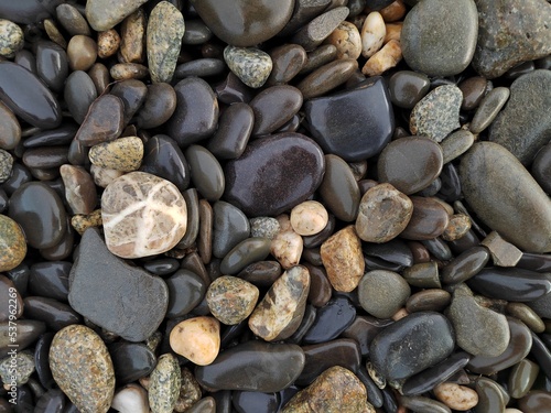sea pebbles