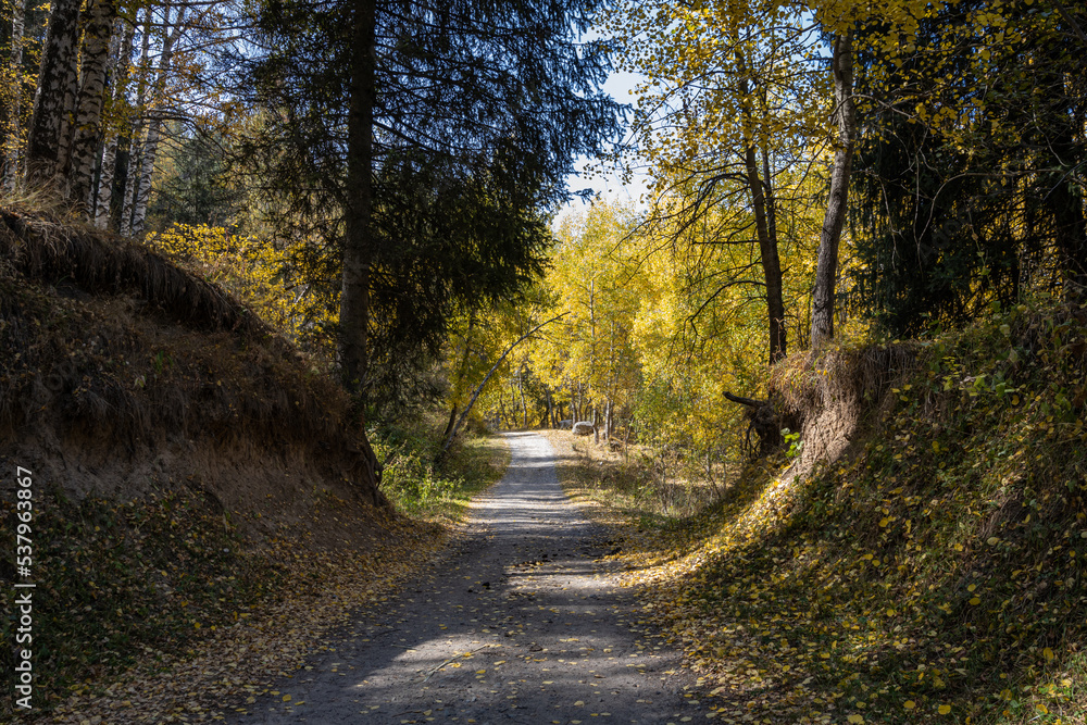 Autumn landscape - blue sky, yellow ground, mountains and hills, green and yellow foliage of the forest trees Autumn landscape - blue sky, yellow ground, mountains and hills, green and yellow foliage of the forest trees
