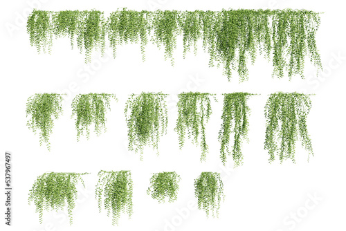 Tela creeper plants, vines, 3d rendered
