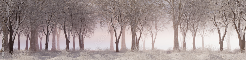Winter Woodland with Snow covered Trees in a Pale Fog. Seasonal Banner. Winter Woodland with Snow covered Trees in a Pale Fog. Seasonal Banner.