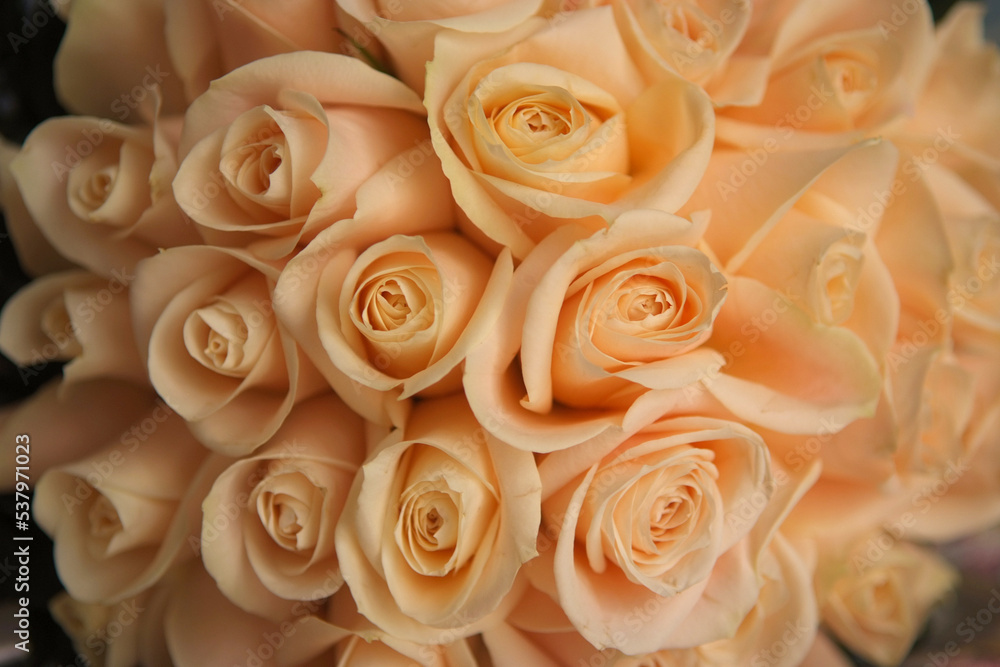 Wedding flowers on wedding day. Wedding flowers on wedding day.