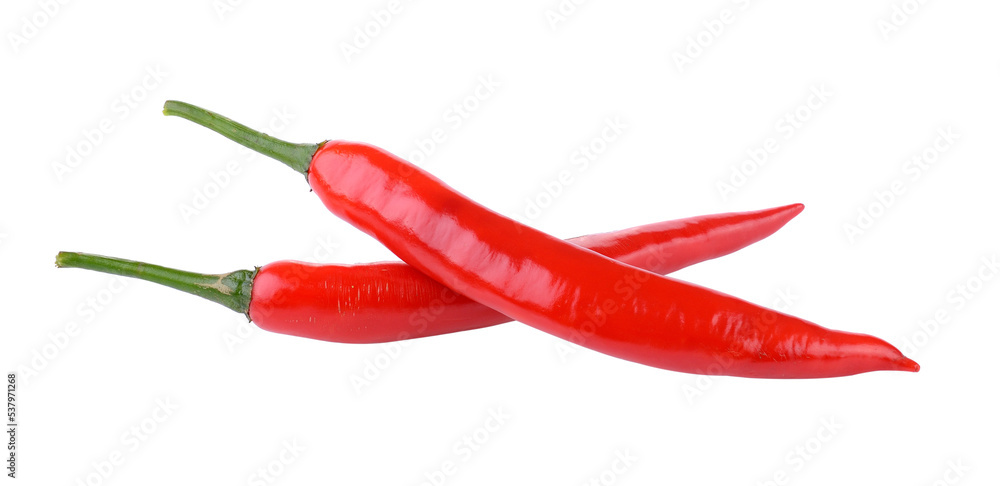 Chili pepper on transparent png