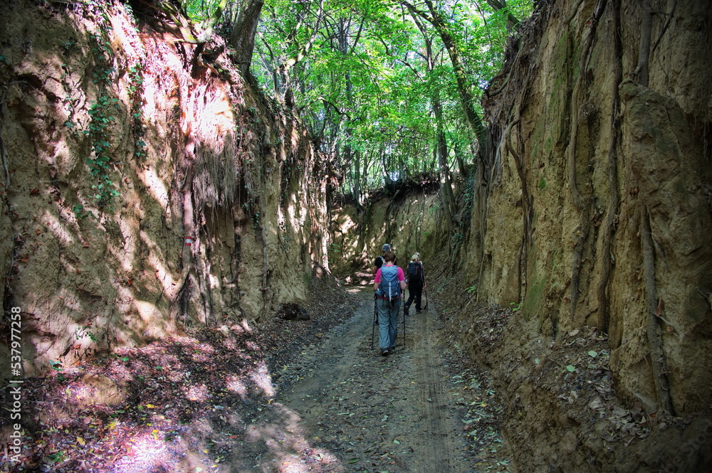 Group of hikers passing through the notch