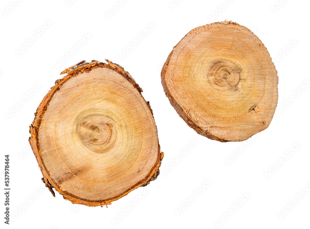 Two cuts of wooden logs on a white background. Two cuts of wooden logs on a white background.
