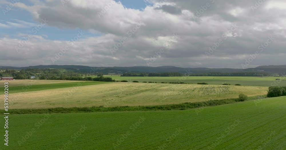 Evergreen Landscape Of Vast Agricultural Plain With Wheat Field Crops. Aerial Drone Shot Evergreen Landscape Of Vast Agricultural Plain With Wheat Field Crops. Aerial Drone Shot
