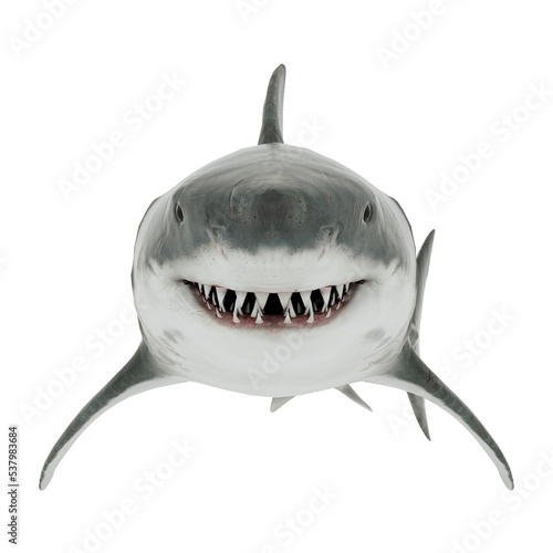 Great White Shark Isolated transparent. Front view 3D Rendering