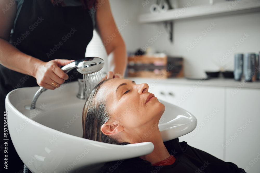 Fototapeta premium Hair salon, shampoo and customer woman for professional care, hairdresser service in startup shop, Beauty process, water cleaning and client hair care treatment for hairstylist small business career