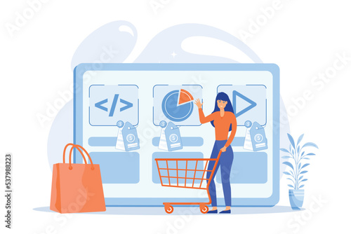 Customer with shopping cart buying digital service online. Digital service marketplace, ready digital solution, online marketplace framework concept, flat vector modern illustration