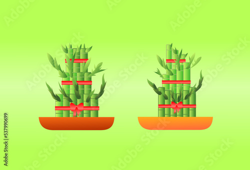 bamboo china vector illustration, lucky bamboo for decorative Chinese new year, mini bamboo with red ribbon vector