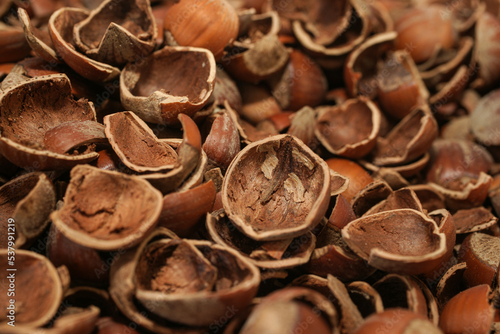 The shells of hazelnuts used in snacks and different productions by breaking their shells The shells of hazelnuts used in snacks and different productions by breaking their shells