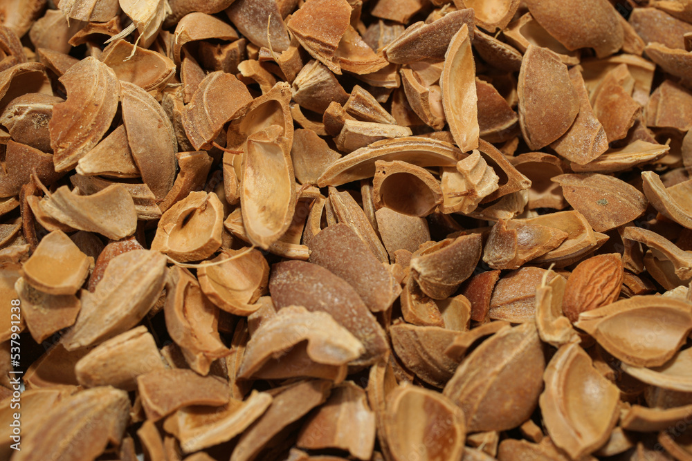 Apricot kernels, apricot kernel shell Apricot kernels, apricot kernel shell
