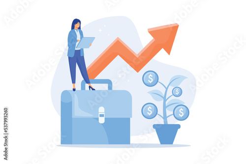 Portofolio income illustration exclusive design inspiration, flat vector modern illustration