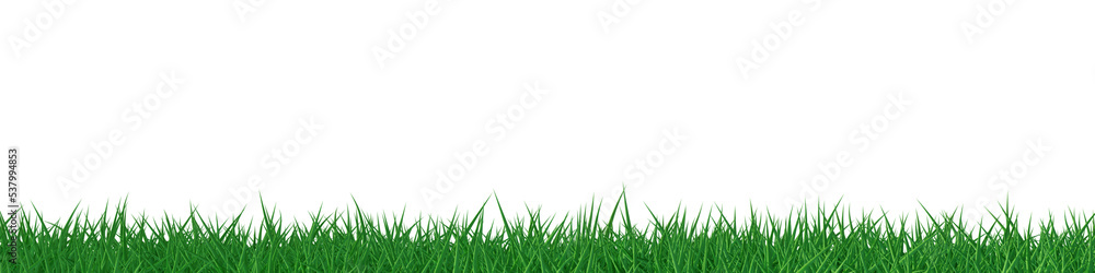3D green grass field background 3D green grass field background
