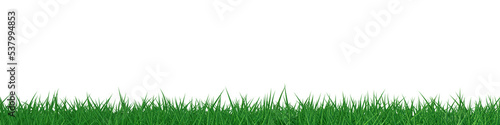 3D green grass field background