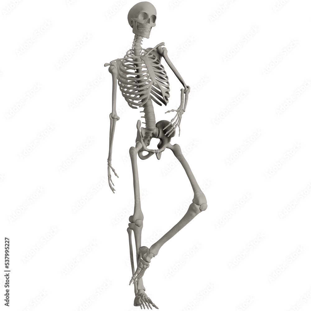 skeleton posing 3d render illustration skeleton posing 3d render illustration